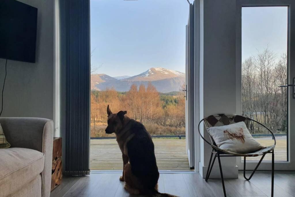 Ben Nevis Scotland Highlands, Camden House Luxury Home Форт-Уильям Экстерьер фото