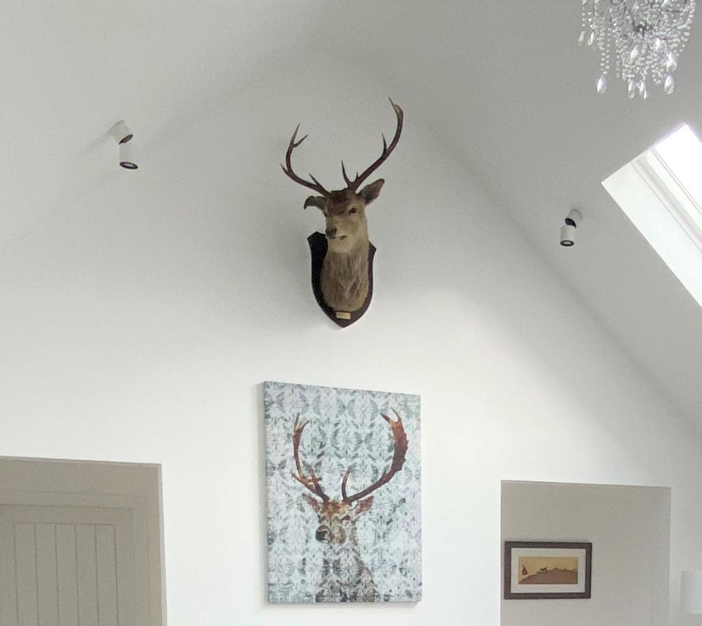 Ben Nevis Scotland Highlands, Camden House Luxury Home Форт-Уильям Экстерьер фото